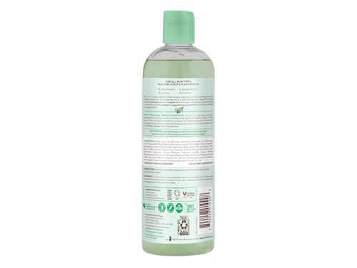 Babo Botanicals Eucalyptus 2-in-1 Bubble Bath & Wash - 15 Fl Oz