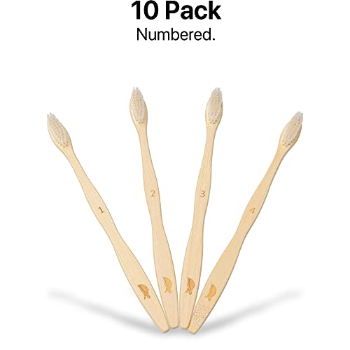 Sea Turtle Sustainable Bamboo Toothbrushes - Soft Plant-Based Bristles, 10 Pack