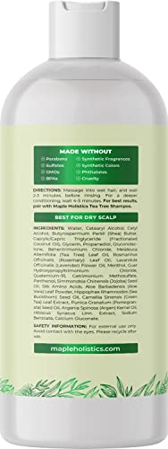 Maple Holistics Oily Hair Shampoo and Tea Tree Conditioner Set - 8oz