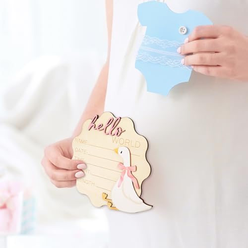 FYSUIMU Silly Goose Newborn Milestone Sign with Pink Bow