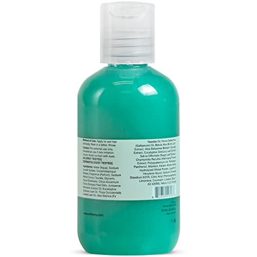 Anthony Invigorating Rush Body Wash & Shampoo, 3.4 Fl Oz - 2-in-1 Cleanser