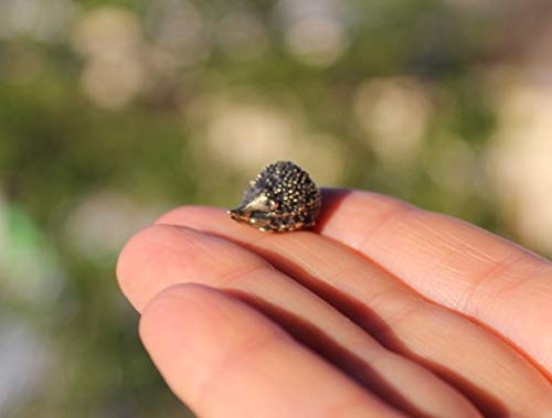 Handmade Brass Hedgehog Figurine - Adorable Miniature Ornament