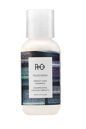 R+Co TELEVISION Perfect Hair Shampoo, 2 Fl Oz - Moisturizing & Detoxifying