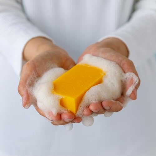 Asayu Japan Persimmon Body Soap - Natural Odor Neutralizing Bar, 85g