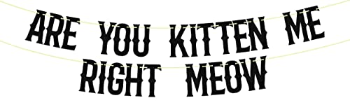 Are You Kitten Me Right Meow Banner - Black Glitter Cat Birthday Decor