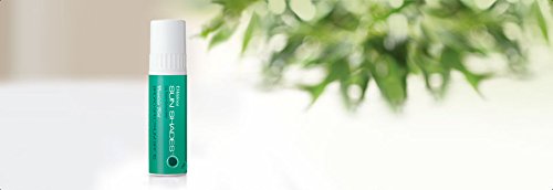 Melaleuca Lip Balm - Mountain Mist Flavor, Moisturizing Care