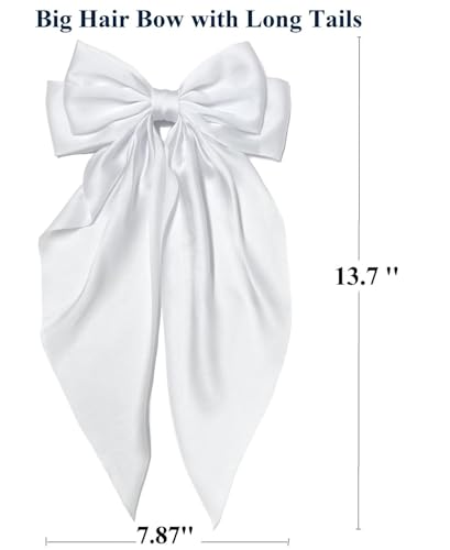 Multicolor TERSE Hair Bows for Women - 10PCS Big Satin Clips
