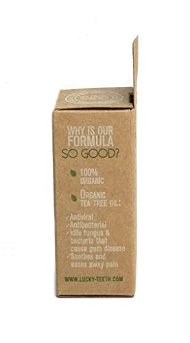 Lucky Teeth Organic Bamboo Charcoal Dental Floss Refills - 2 Pack