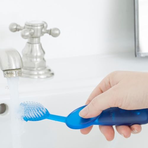 RADIUS Big Brush Toothbrush with Case - BPA Free, ADA Accepted