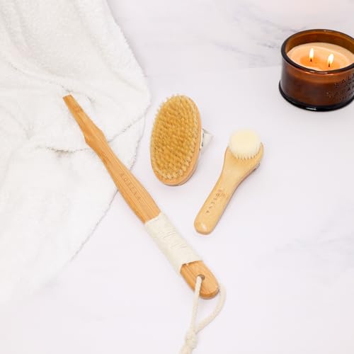 Lymphatic Drainage Dry Brush Set - Body & Face Brushes with Natural Bristles