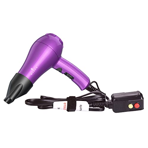 Wazor 1000W Compact Ionic Travel Hair Dryer with Concentrator
