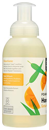 Foaming Hand Soap Satsuma Eucalyptus - 12 Fl Oz (Pack of 2)