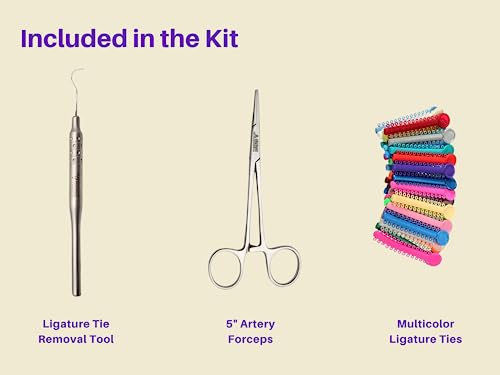 Artman Instruments DIY Dental Braces Color Changing Kit with 1040 Ties