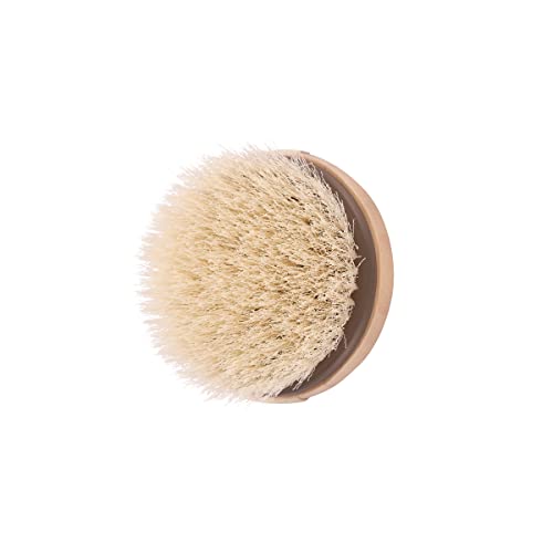EcoTools Dry Body Brush for Exfoliation, Vegan Bamboo Handle - 2 Pack