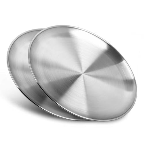 10-Inch Stainless Steel Dinner Plates - Set of 2, Non-Toxic & Dishwasher Safe