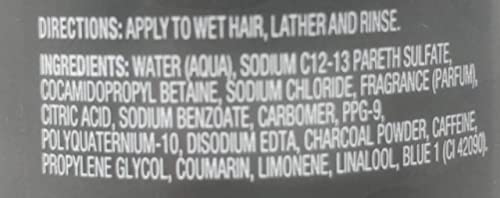 Dove Men+Care Charcoal Shampoo 12 oz - Pack of 2, Natural & Purifying