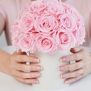 Perfect Formula My Favorite Top Coat - Fast Dry High Gloss Nail Sealer