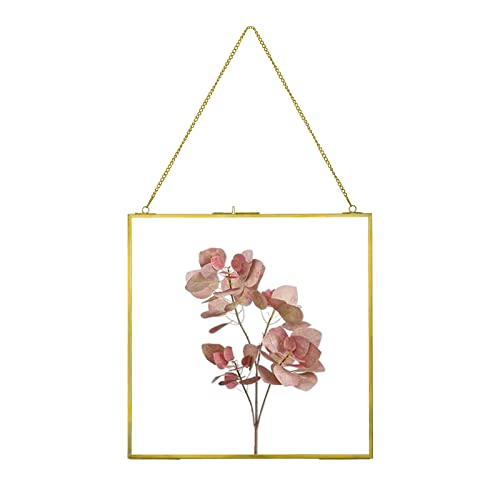 Square Pressed Flower Picture Frame - 6x6 Clear Glass Wall Art