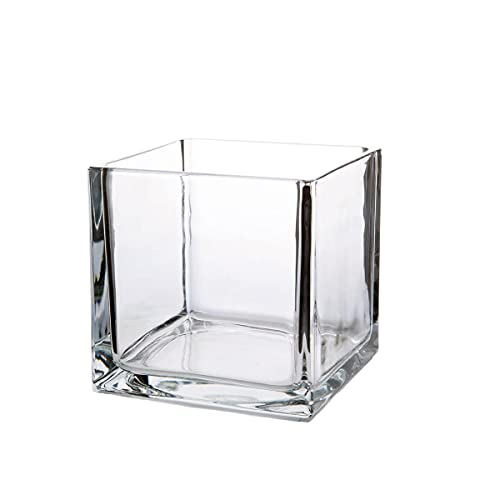 Clear Glass Cube Vase & Candle Holder - 4" x 4" Elegant Floral Accent