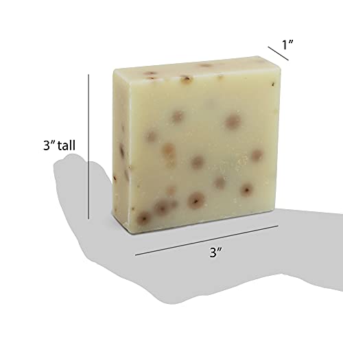Organic Shea Butter Bar Soap - Rosemary Mint, Set of 3 | Moisturizing Vegan Soap with Coconut & Olive Oil