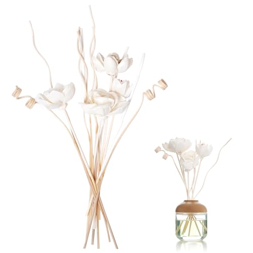 14-Piece Natural Flower Reed Diffuser Sticks Set for Home Decor