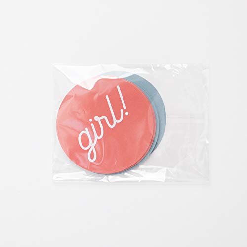 Gender Reveal Stickers - Pink & Blue Baby Shower Party Favors