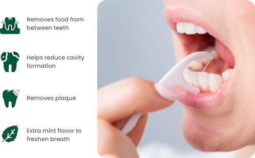 iSmile Dental Floss Picks - Biodegradable, Mint Flavor, Shred-Resistant