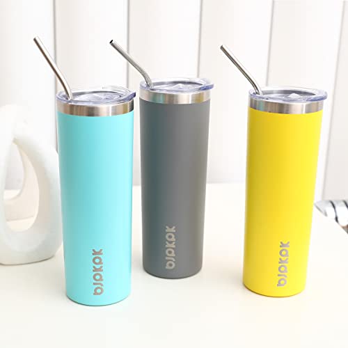 20 oz Insulated Stainless Steel Tumbler with Lid & Straw - Purple