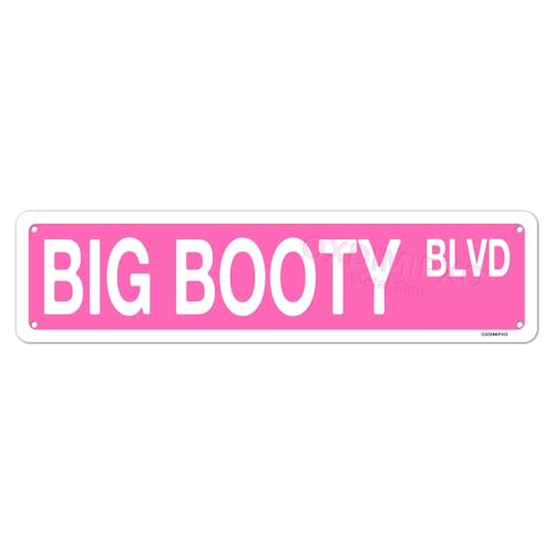 Funny Pink Big Booty Blvd Metal Sign - 16x4 Inch Wall Art