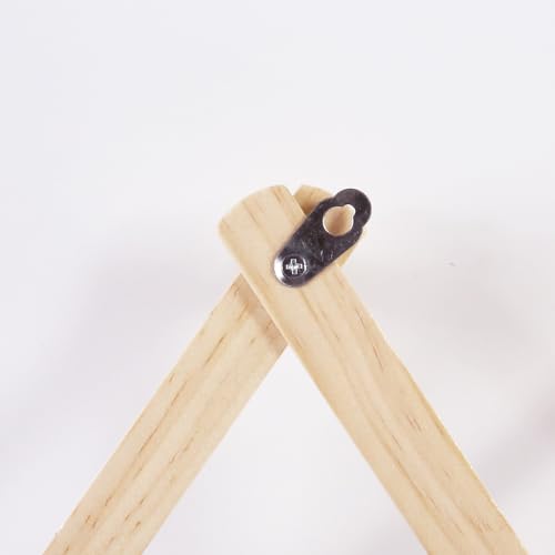 AMAPON Expandable Accordion Wall Hanger with 10 Pegs for Coats, Hats, and More