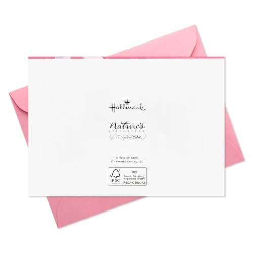 Hallmark Blank Notecards, 20-Pack with Butterfly & Hummingbird Design