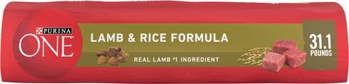 Purina ONE Dry Dog Food - Lamb & Rice Formula | 31.1 lb. Bag