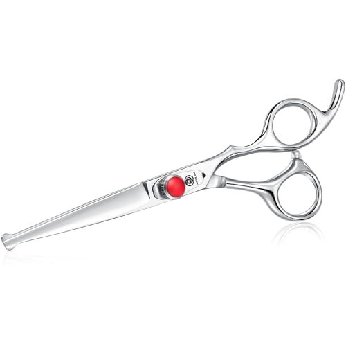 Dragon Creek 6" Kids Hair Scissors - Silver Safety Shears for Children