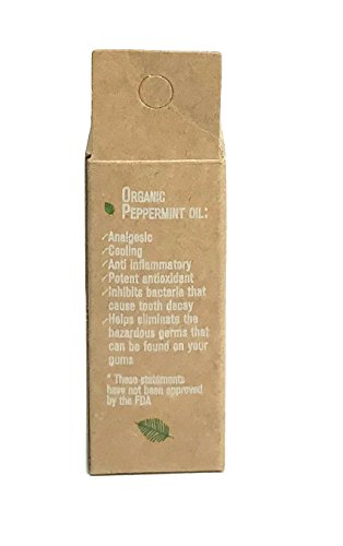 Lucky Teeth Organic Bamboo Charcoal Dental Floss Refills - 2 Pack