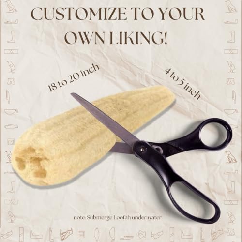100% Natural Egyptian Loofah Sponge - Exfoliating Body Scrubber (1 Count)