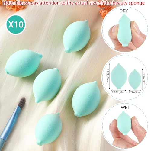 SiliFine 20 Pcs Travel Makeup Brush & Sponge Set with Blue Bag - Compact & Portable