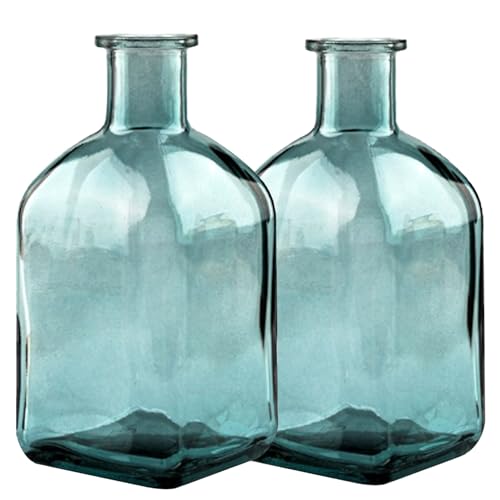 Coastal Style Glass Vase Set of 2 - Nordic Minimalist Decor