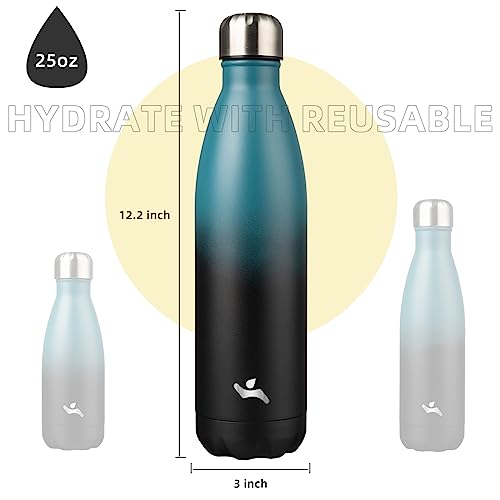 25 oz Insulated Stainless Steel Water Bottle - Indigo Black