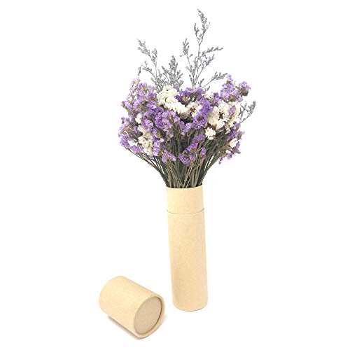 HOSSIAN 100 Natural Rattan Reed Diffuser Sticks - 9" x 3mm