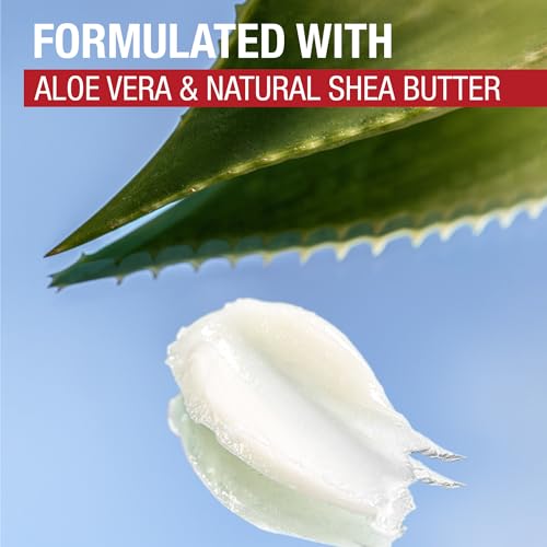 Aquaphor Naturally Inspired Lip Repair Stick with Aloe Vera - 0.17 oz