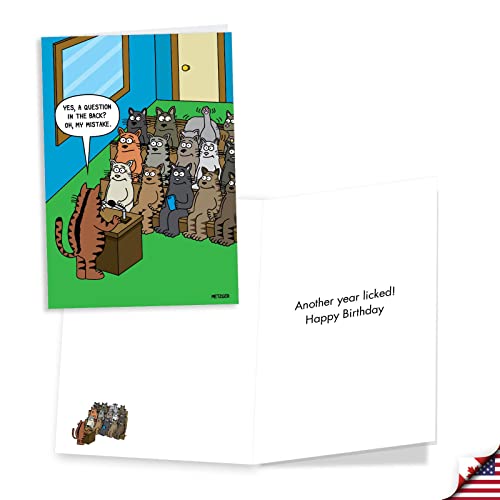 Funny Cat Birthday Cards Assorted Pack of 3 with Envelopes
