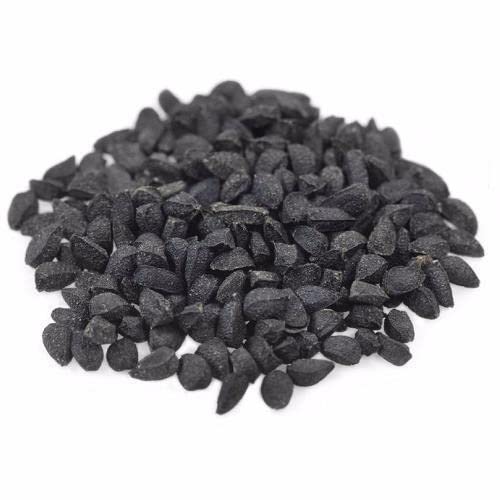Dr. Joe Lab Organic Black Seed Oil - 8 oz Cold Pressed Nigella Sativa
