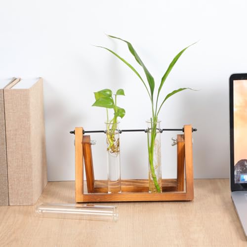 Hydroponic Plant Propagation Tubes - 4 Clear Glass Vases for Home
