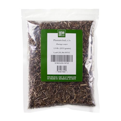 Cut & Sifted Plantain Leaf Tea, Kosher 1/4 lb - Herb Co
