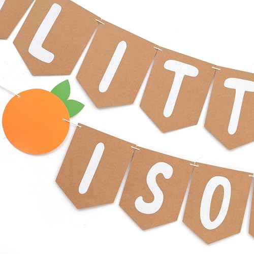 Little Cutie Baby Shower Banner - Citrus First Birthday Decoration