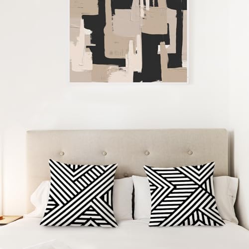 Black and White Decorative Pillow Covers 18x18 (Set of 2) - Abstract Flannel for Indoor & Outdoor Use