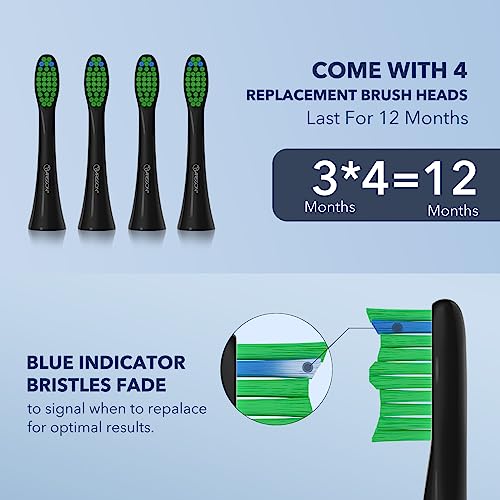 ARISSON Sonic Electric Toothbrush, 3 Modes, 90-Day Battery & Travel Case