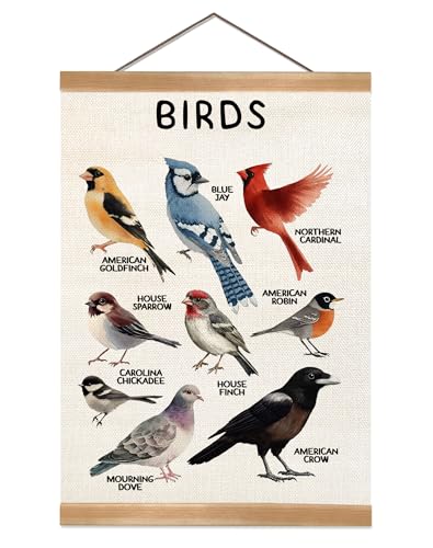 Vintage Bird Wall Art Poster with Wood Frame - 12x16 inches
