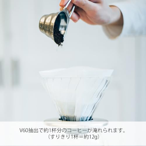 Hario V60 Stainless Steel Measuring Spoon - 12g Capacity
