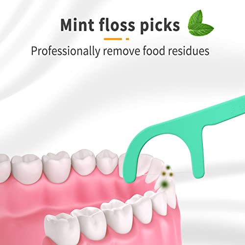 Mint Flavored Dental Floss Picks - 400 Count with Travel Case